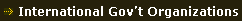 International Government Organizations