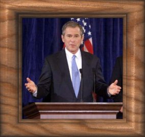 bush